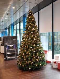 Hoeveel kerstboompjes moet jij nog?